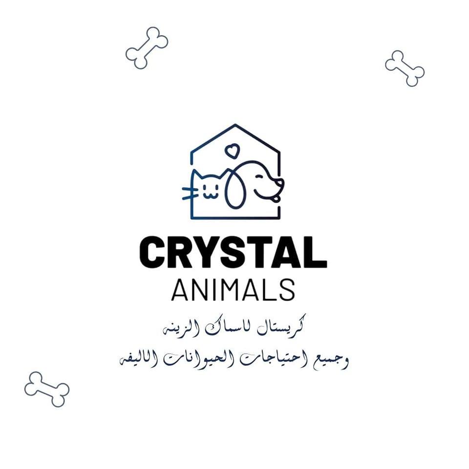 موظفة